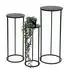 DanDiBo Blumenhocker Metall, schwarz, rund, 3er-Set (96316)