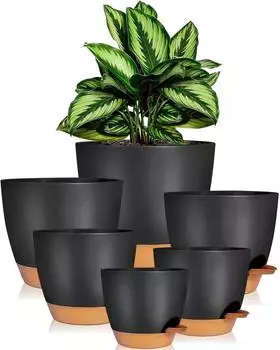 LuxusKollektion iDattel Blumentopf-Set mit Untersetzer, Selbstbewässerung, Kunststoff, schwarz, 6er-Set