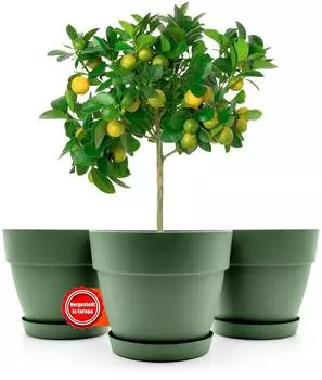 BigDean Blumentopf mit Untersetzer rund, olivgr&uuml;n, Kunststoff, &Oslash;47cm, 48l, 3er-Set (1000817)