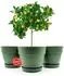 BigDean Blumentopf mit Untersetzer rund, olivgrün, Kunststoff, Ø47cm, 48l, 3er-Set (1000817)