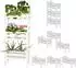 needs&wants Pflanzentreppe Holz, Indoor/Outdoor (73010)