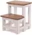 Xtradefactory Pflanzentreppe Step zweistufig, Altholz, weiß, 46x37x37cm