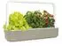 Click & Grow Smart Garden 9 Indoor Pflanzkasten