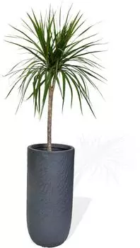 Köhko Pflanzkübel aus Fiberglas, rund, anthrazit, Ø24x49cm (61009AN-2449)