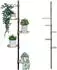 bremermann Teleskop-Blumenregal 4 Bambus-Ablagen, höhenverstellbar 140-290cm, schwarz (61087-V)