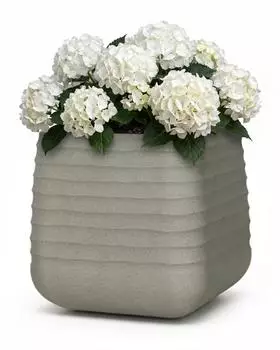 Mazovia Pflanzenkübel quadratisch, grau, Betonoptik, UV- und frostbeständig, 38,5x38,5x37cm (ERBA M)