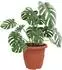 vidaXL Runder Blumentopf 24 Stk., ziegelrot, Ø30x25cm, Kunststoff (42020291)