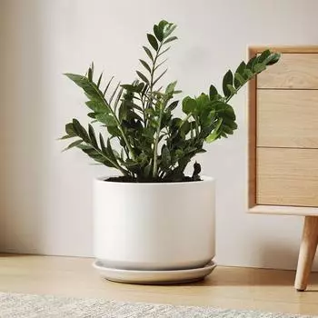 LuxusKollektion Keramik-&Uuml;bertopf mit Untersetzer & Drainageloch, wei&szlig;, 25cm