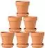 LuxusKollektion Terrakotta Pflanztöpfe mit Untersetzer 10x10cm, 6er Set