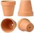 LuxusKollektion Terrakotta Pflanztöpfe mit Untersetzer 10x10cm, 6er Set