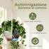 LuxusKollektion Makramee Blumenampeln 3er-Set mit Selbstbewässerung, weiß, 28/23/20cm