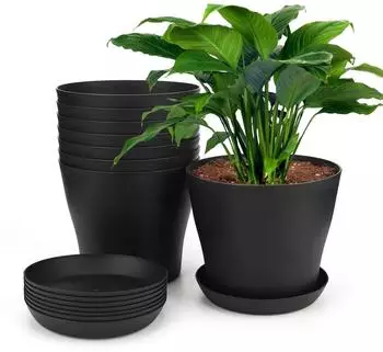 LuxusKollektion Blument&ouml;pfe mit Untersetzer 8er-Set, 17cm, schwarz, Kunststoff