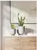 LuxusKollektion Blumentopf Keramik, grau, 15cm, mit Ablaufloch