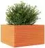 vidaXL Blumentopf Kiefer Massivholz wachsbraun 80x80x46cm
