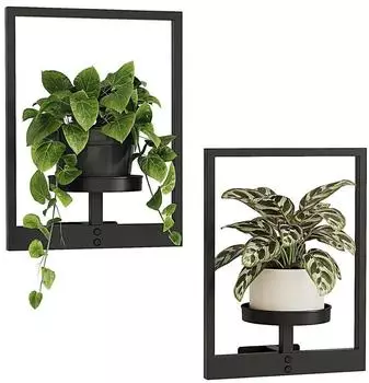 LuxusKollektion Wandbehang-Pflanzgef&auml;&szlig;e 2er-Set, Metallrahmen, schwarz, &Oslash;15cm