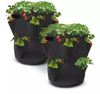 Spetebo Erdbeer Pflanzsack aus Filz 45x35cm 2er Set (3562)