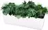 LuxusKollektion Blumentopf rechteckig 40cm selbstbewässernd mit Wasserstandsanzeige, weiß