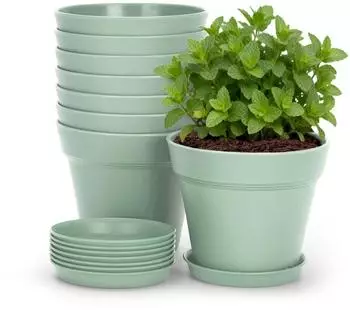 LuxusKollektion Blument&ouml;pfe mit Untersetzer 8er-Set, 10cm, Kunststoff, gr&uuml;n