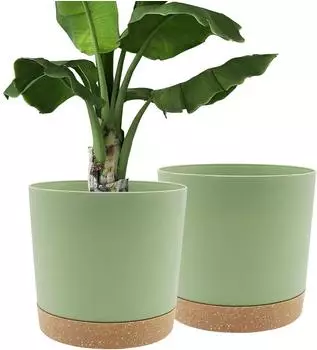 LuxusKollektion Blument&ouml;pfe 2er-Set mit Untersetzer und Entw&auml;sserungsl&ouml;chern, gr&uuml;n, 30,5cm