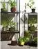 Brafab Grower Greens Pflanzenschrank Aluminium, schwarz, 81x82cm
