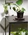 Brafab Grower Greens Pflanzenschrank Aluminium, schwarz, 81x82cm