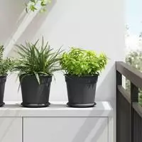 vidaXL Blument&ouml;pfe 6 stk. Schwarz Kunststoff