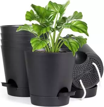 LuxusKollektion Selbstbew&auml;ssernder Blumentopf 15,2cm schwarz (6er-Set)