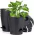 LuxusKollektion Selbstbewässernder Blumentopf 15,2cm schwarz (6er-Set)