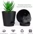 LuxusKollektion Selbstbewässernder Blumentopf 15,2cm schwarz (6er-Set)
