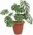 vidaXL Runder Blumentopf 6er-Set ziegelrot Ø26x21,5cm Kunststoff (42020279)