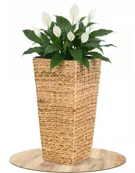 Vivanno Pflanzk&uuml;bel "Asia" Wasserhyazinthe, geflochten, natur, 28x28x60cm (900003101060)