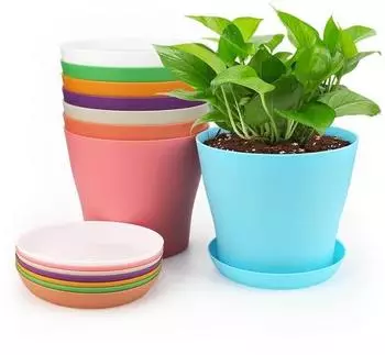 LuxusKollektion Blument&ouml;pfe mit Untersetzer, 8er-Set, 10cm, mehrfarbig, Kunststoff