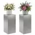 vidaXL Pflanzenständer 2er-Set silber 30x30x60cm Edelstahl