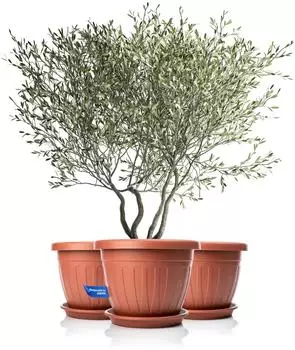 BigDean Blumentopf mit Untersetzer rund, Kunststoff, terracotta, &Oslash;50x38cm, 3er-Set (799927)