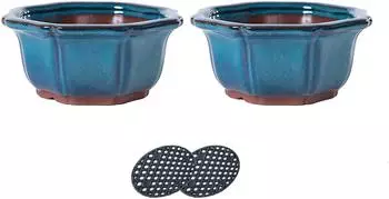 Jinfa Bonsai-Schale 2er-Set, Keramik achteckig t&uuml;rkis (BPHBL14-2S)