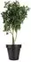 BigDean Blumentopf Classic XXL Ø60cm, anthrazit, Kunststoff (800838)