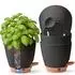 LuxusKollektion Selbstbewässernder Kräutertopf 15cm 4er-Set schwarz (15CM-4set)