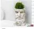 HTI-Living Pflanzgefäß Apollon Büste Poseidon