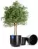 BigDean Style Blumentopf-Set 2er Ø58cm anthrazit, Kunststoff (801385)