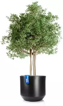 BigDean Blumentopf Style Ø 58cm anthrazit mit Innentopf, Kunststoff