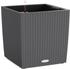 Lechuza Cube Cottage 40 All-in-One Set