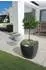 Scheurich Wave Globe Cubo 50cm schwarz/granit