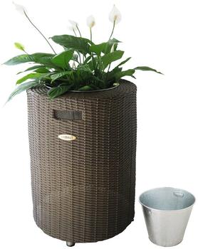 Habau Miami