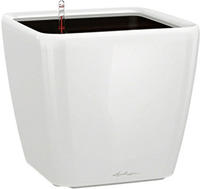 Lechuza 16189, Lechuza Quadro LS (43 x 43 x 39 cm) (16189) Schwarz