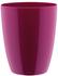 Elho brussels orchid high 12,5cm