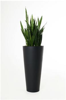 Vivanno Rondo Classico Anthrazit 38x80cm (215103080)