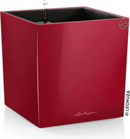 Lechuza 16367, Lechuza Cube (39 x 39 x 40 cm) (16367) Rot