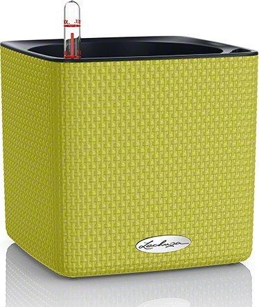 Lechuza Cube Color 16 All-in-One Set limettengrün