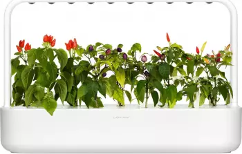 Click & Grow Smart Garden 9