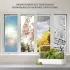 Click & Grow Smart Garden 9